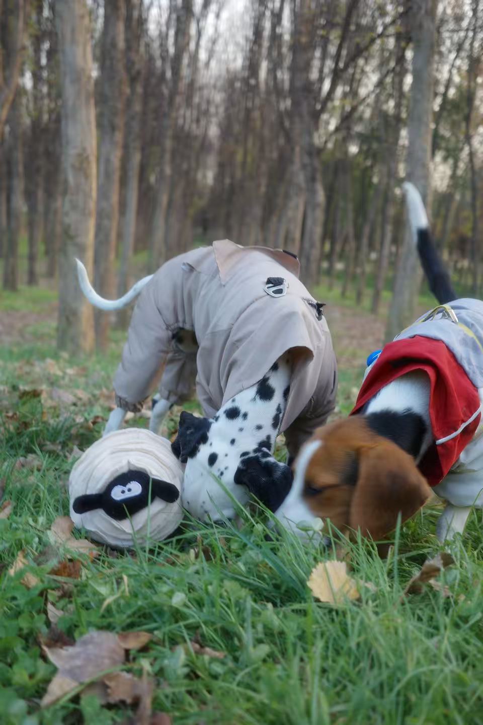New Dog Enrichment Puzzle Toy Treat-Dispensing, Durable, and Energy-Releasing