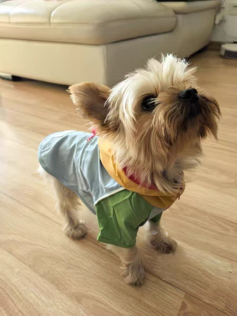 Dog Outdoor Jacket – Lightweight, Breathable Windbreaker for Small Dogs｜Waterproof, Dirt-Resistant｜Leash-Friendly Design